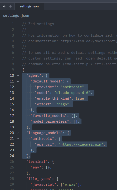 settings.json 配置示例